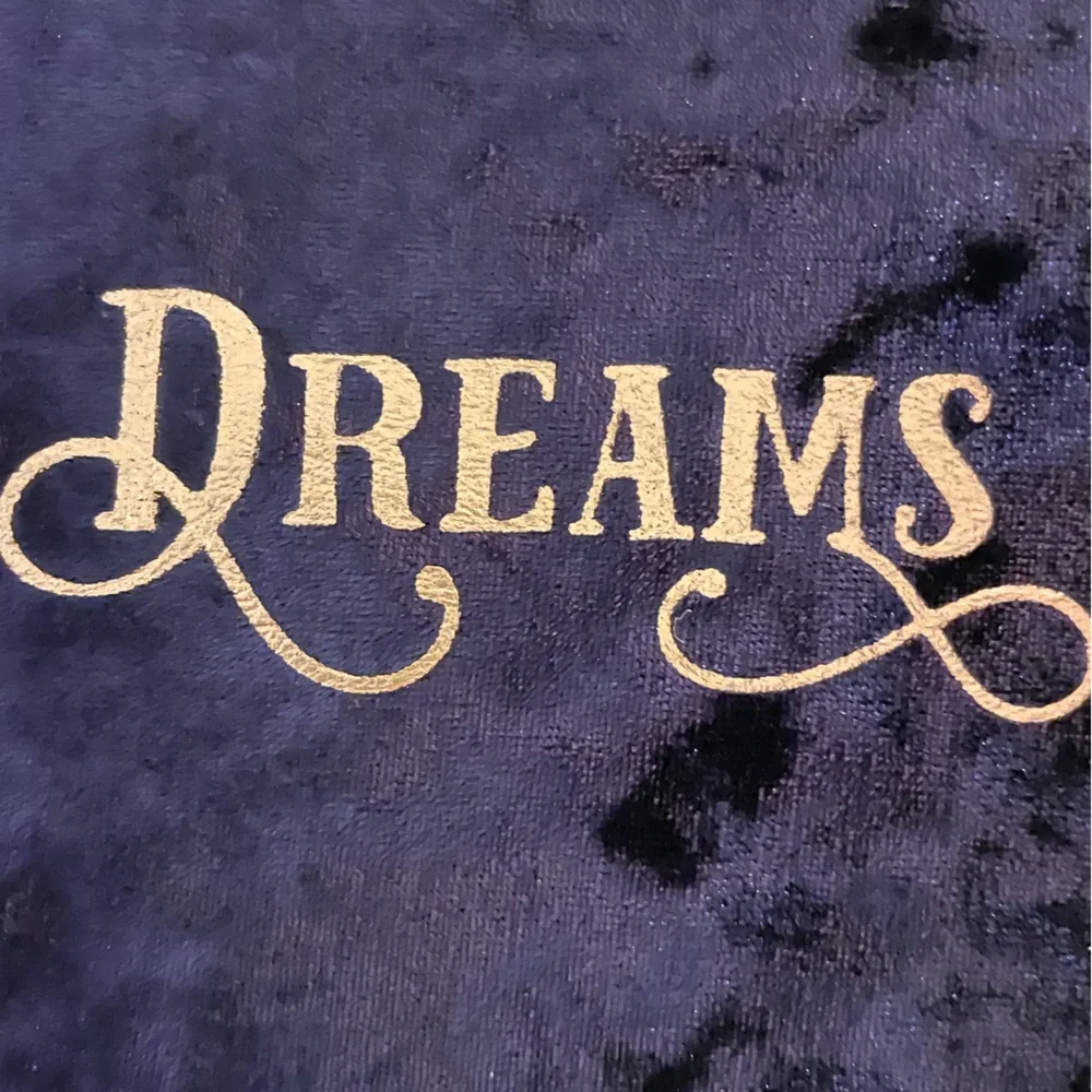 NWOT ECCOLO Blue Velvet Covered DREAMS Journal
